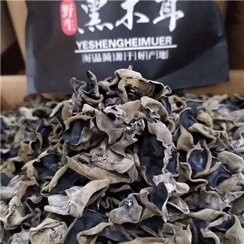 东北特产秋木耳 凉拌小炒干木耳菌菇干货250g袋装