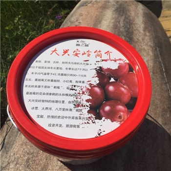 大兴安岭野生鲜果蔓越莓原浆红豆果汁雅客达饮料浓缩原汁1桶2L