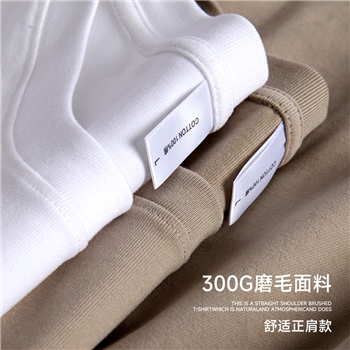 加厚磨毛短袖t恤男宽松重磅纯棉半袖男装休闲内搭白色体恤打底衫