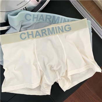广州乐莹莫代尔纯棉男士内裤简约舒适短裤腰边潮流四角男生平角裤