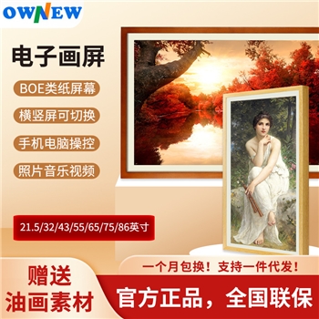 京东方BOE画屏同款21.5/32/43/55英寸高清数码相框电子画屏护眼屏