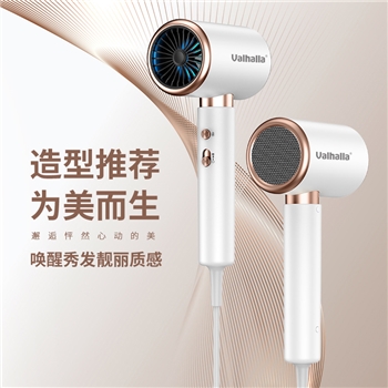 网红高速电吹风机负离子发廊大功率家用宿舍T形恒温风筒跨境