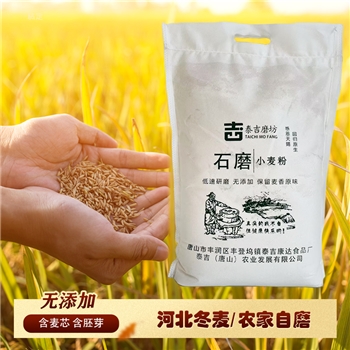 面粉小麦粉全麦粉10斤